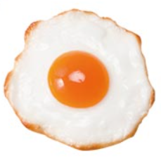 キッチン サンプル 目玉焼き　たまご