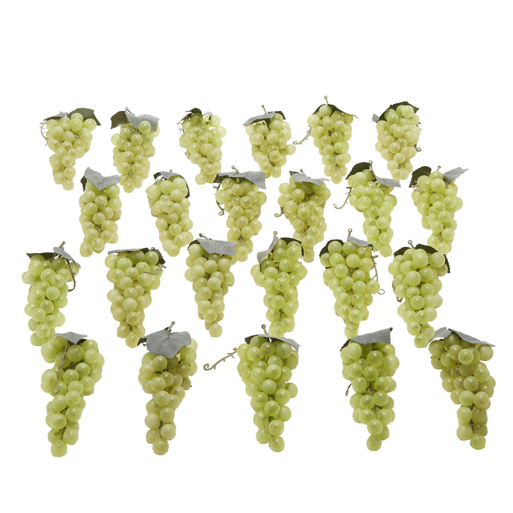 サンプル ブドウ ２３個