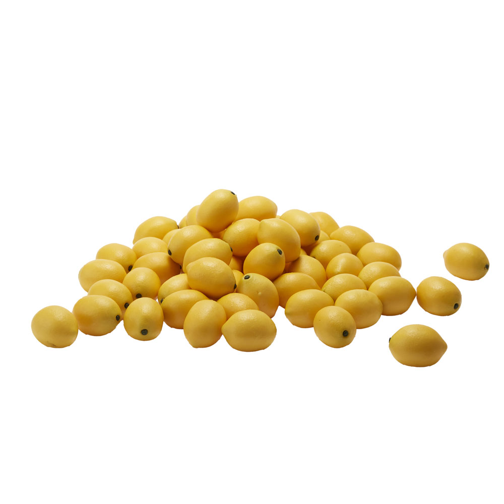 サンプル レモン ５５個