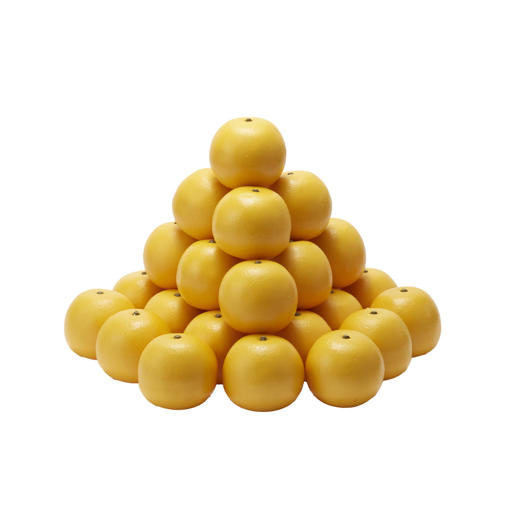 サンプル グレープフルーツ ２９個