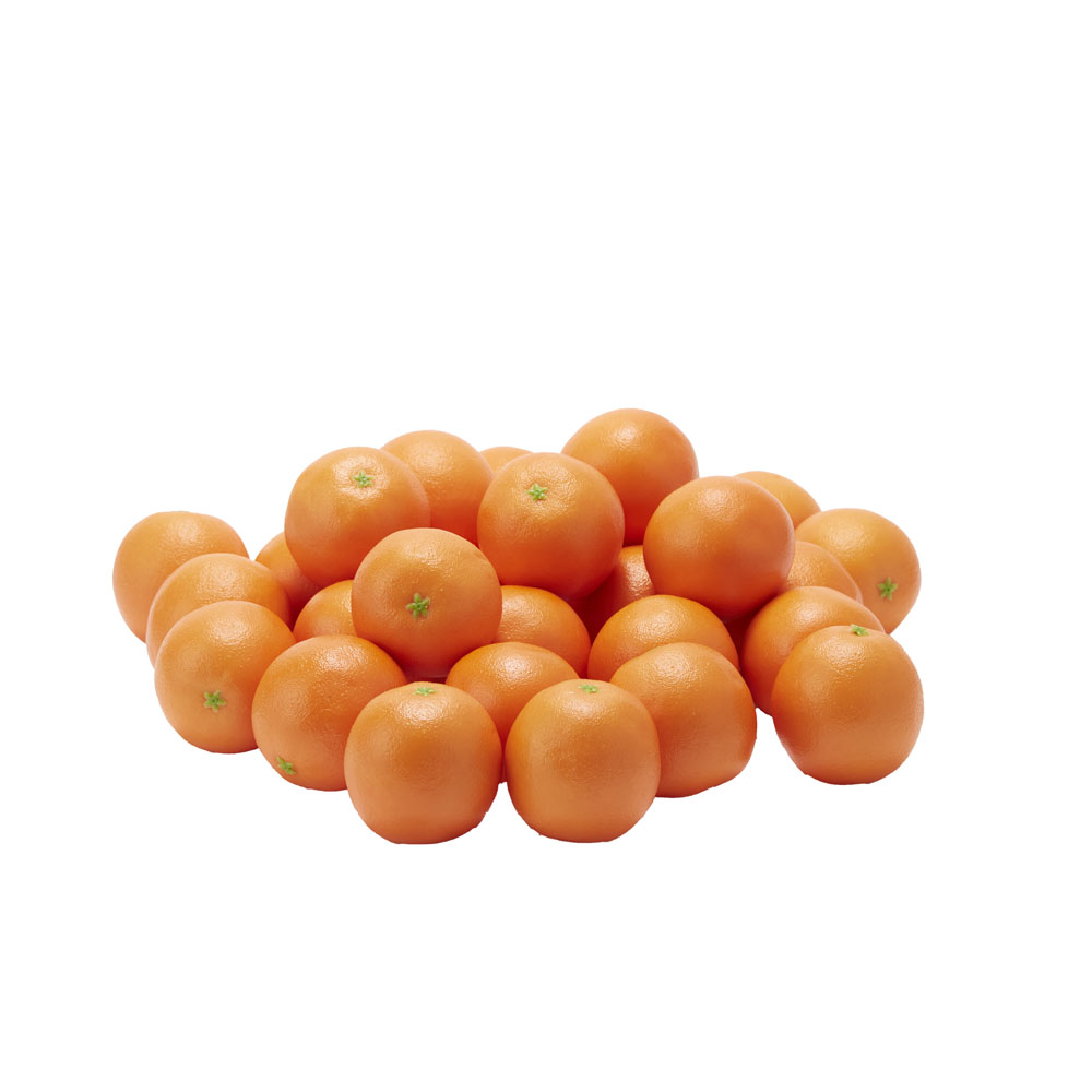 サンプル オレンジ ３１個