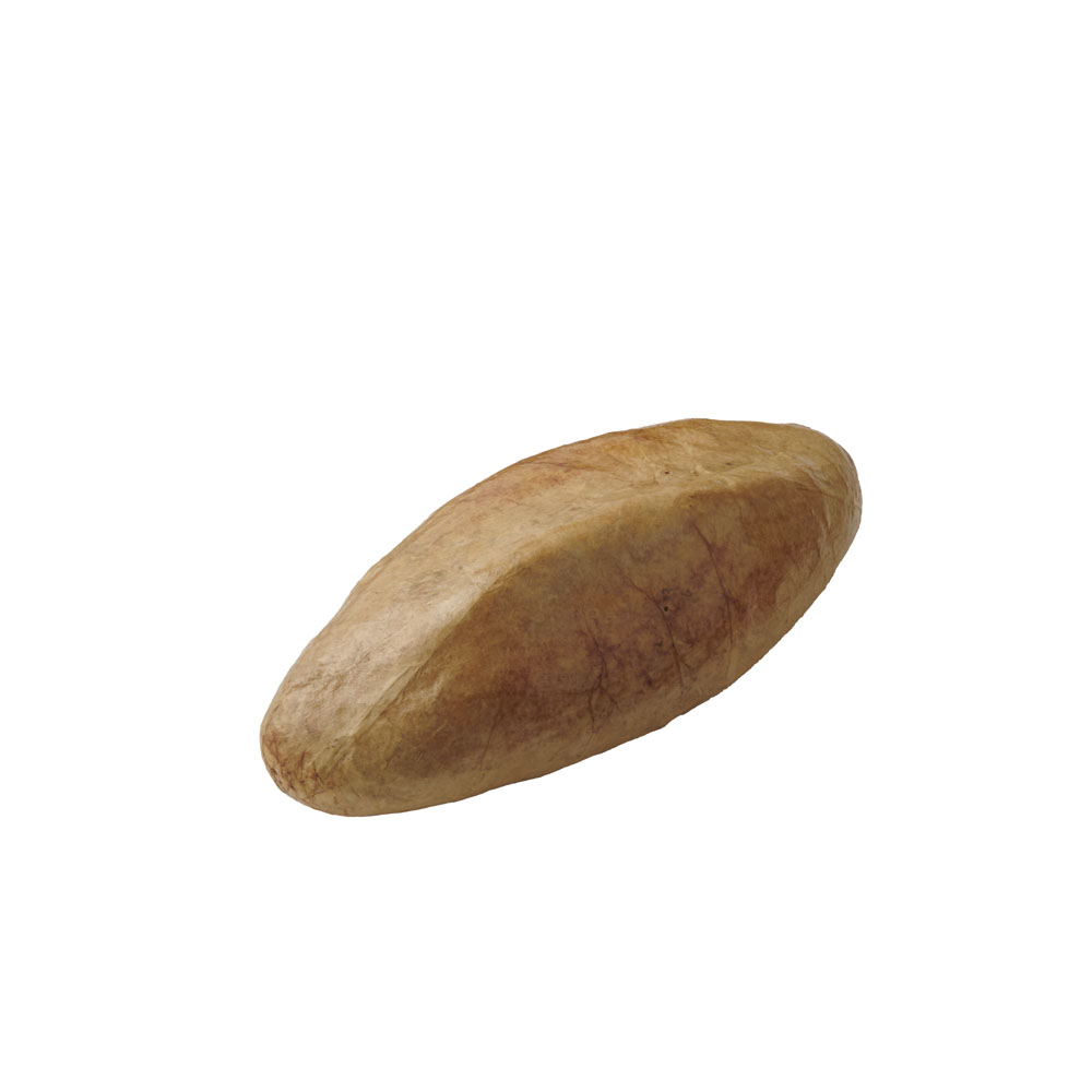 サンプル パン バゲット 太