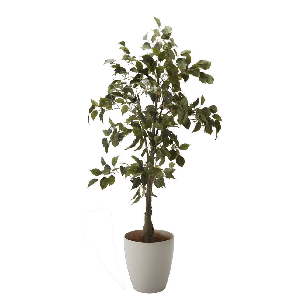 フェイクグリーン　ベンジャミン