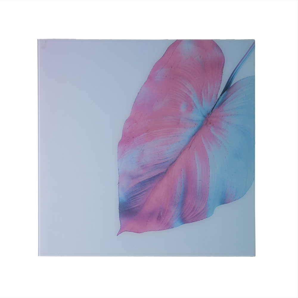 アートパネル　ネオンリーフ　ピンク×ブルー