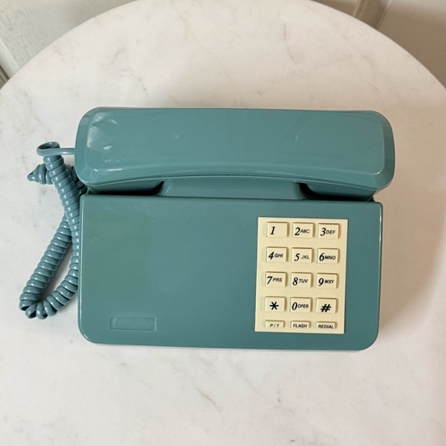 ＴＥＬ　ブルーグリーン　プッシュボタン