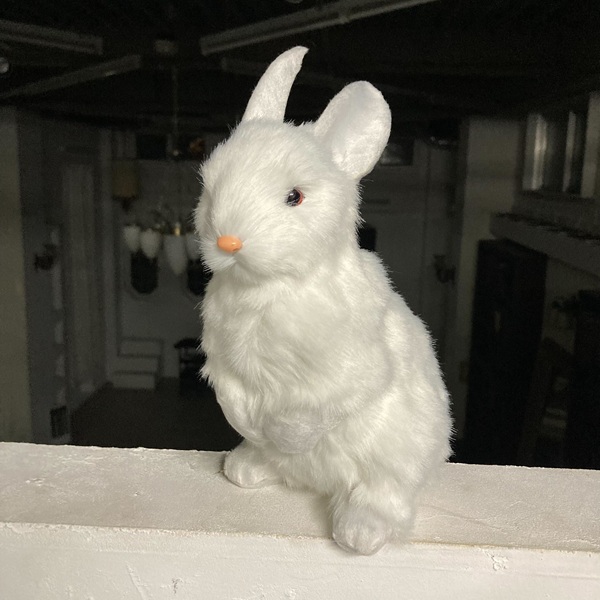 ウサギ　鼻オレンジ