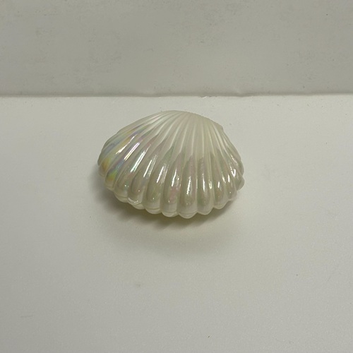 オブジェ　貝殻　ホワイトオーロラ　プラ