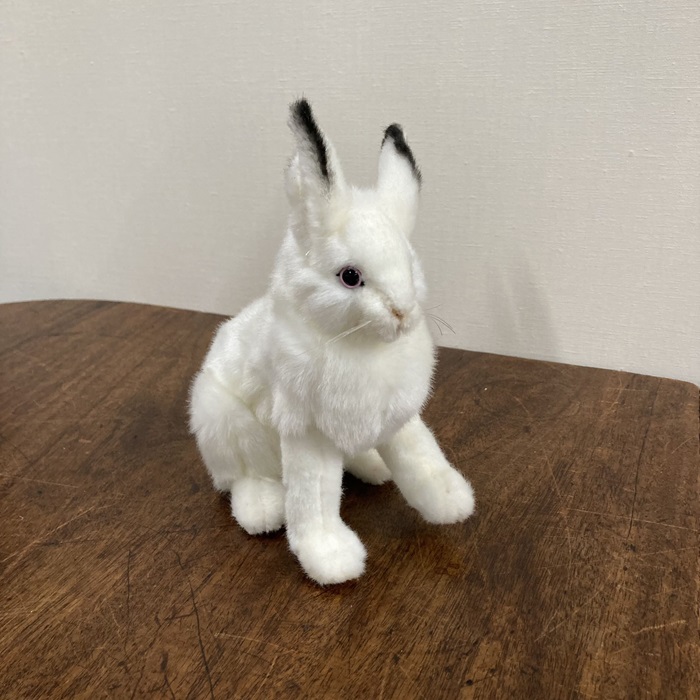 ヌイグルミ　ウサギ　耳黒